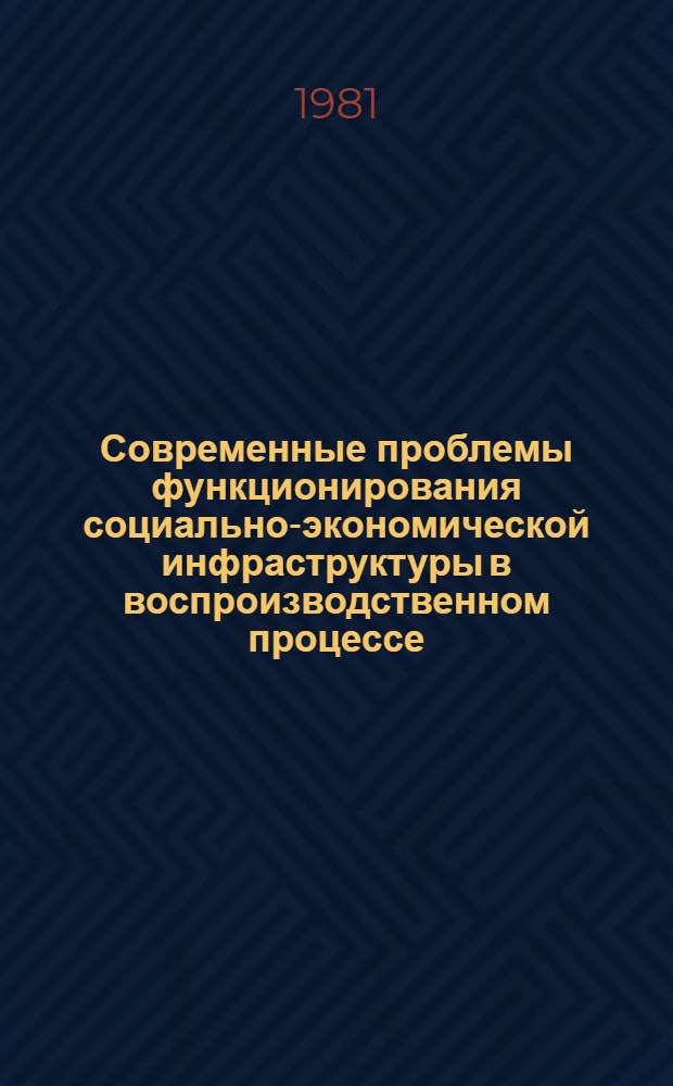 Современные проблемы функционирования социально-экономической инфраструктуры в воспроизводственном процессе : Автореф. дис. на соиск. учен. степ. д. э. н