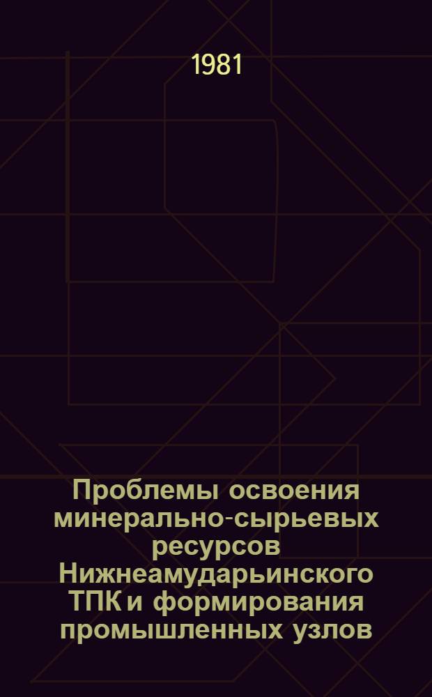 Проблемы освоения минерально-сырьевых ресурсов Нижнеамударьинского ТПК и формирования промышленных узлов : Автореф. дис. на соиск. учен. степ. к. э. н