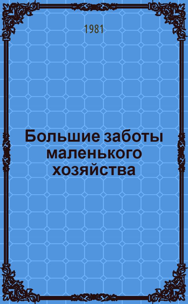 Большие заботы маленького хозяйства