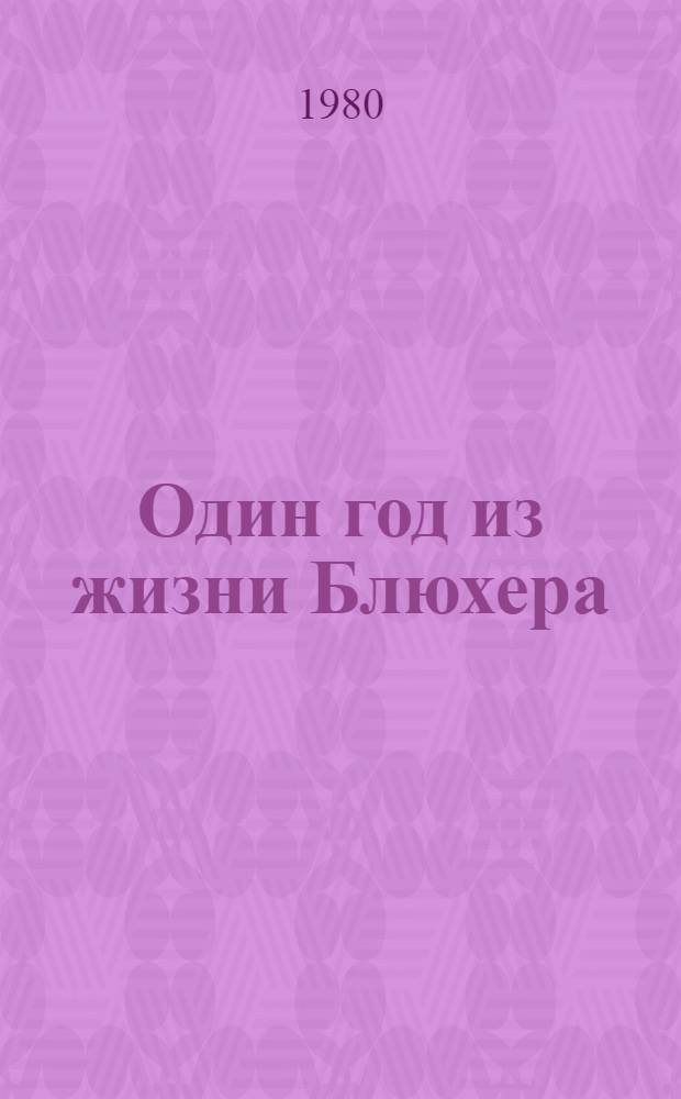 Один год из жизни Блюхера