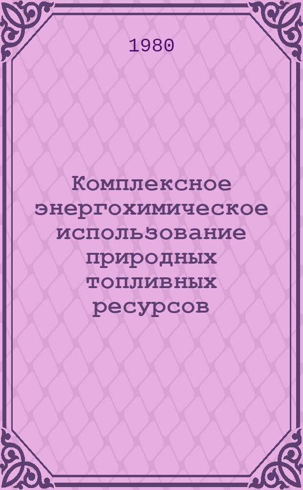 Комплексное энергохимическое использование природных топливных ресурсов : Библиогр. указ. отчетов о НИР, пояснит. записок к ОКР, дис. и информ. карт, поступивших во ВНТИЦентр в 1977-1979 гг