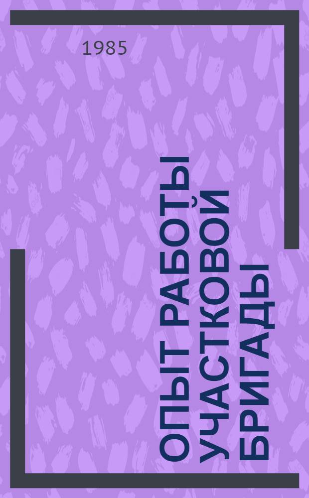 Опыт работы участковой бригады