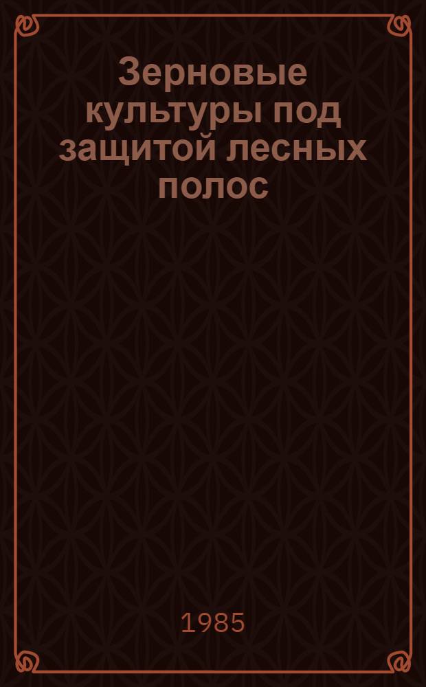 Зерновые культуры под защитой лесных полос