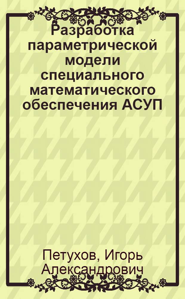Разработка параметрической модели специального математического обеспечения АСУП