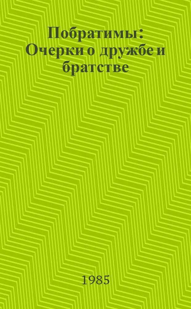 Побратимы : Очерки о дружбе и братстве