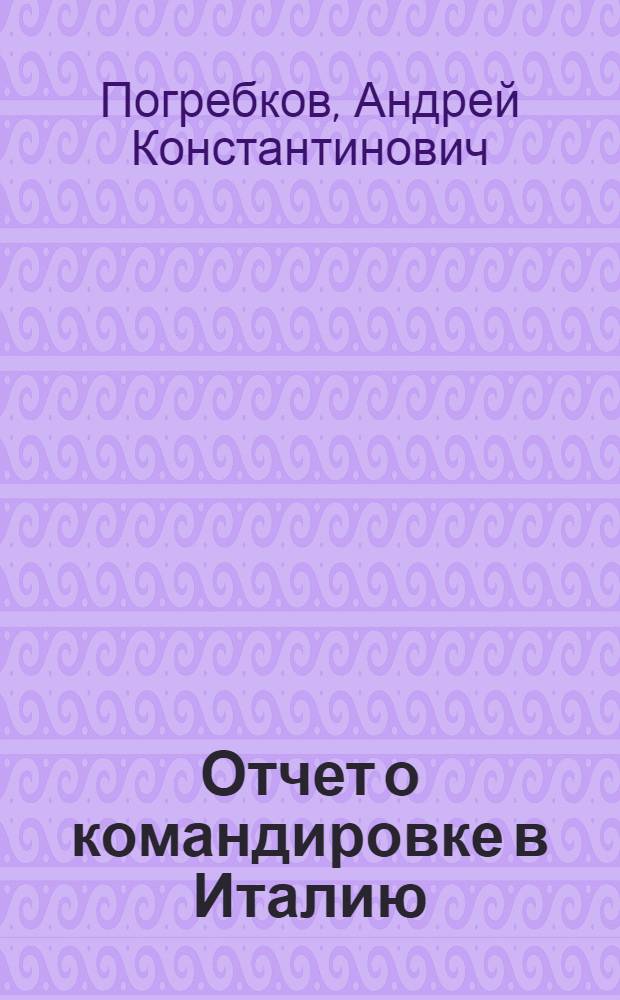 Отчет о командировке в Италию