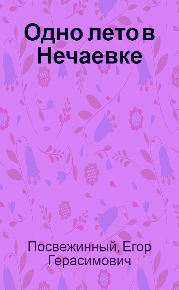 Одно лето в Нечаевке
