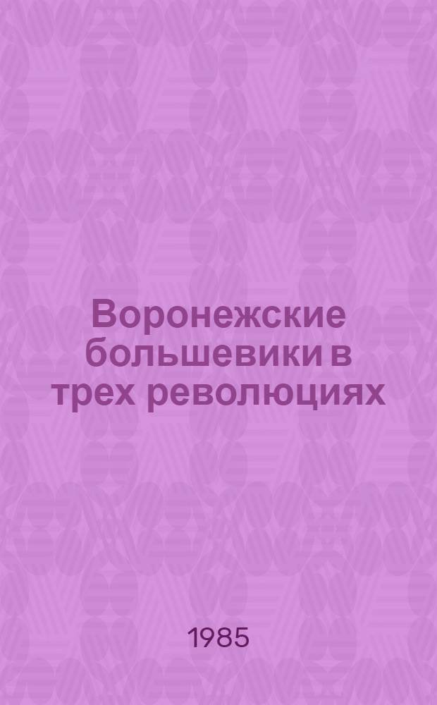 Воронежские большевики в трех революциях (1905-1917)