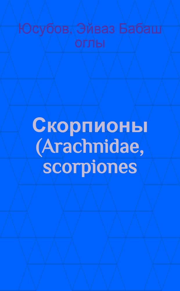 Скорпионы (Arachnidae, scorpiones) Азербайджана : Автореф. дис. на соиск. учен. степ. канд. биол. наук : (03.00.08)