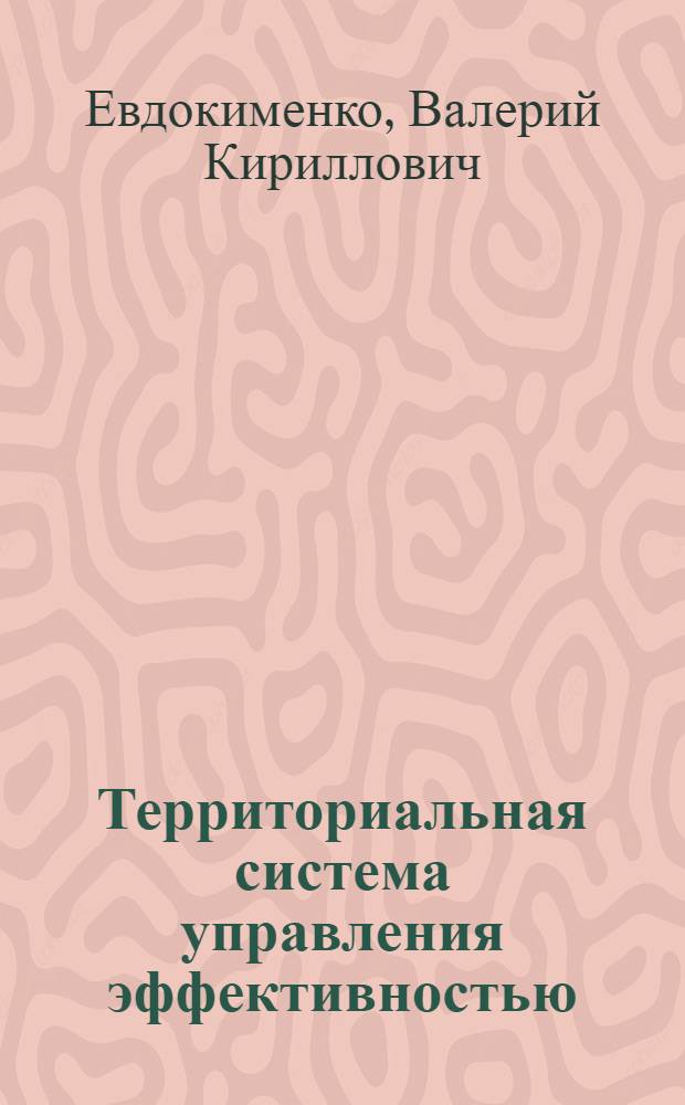 Территориальная система управления эффективностью