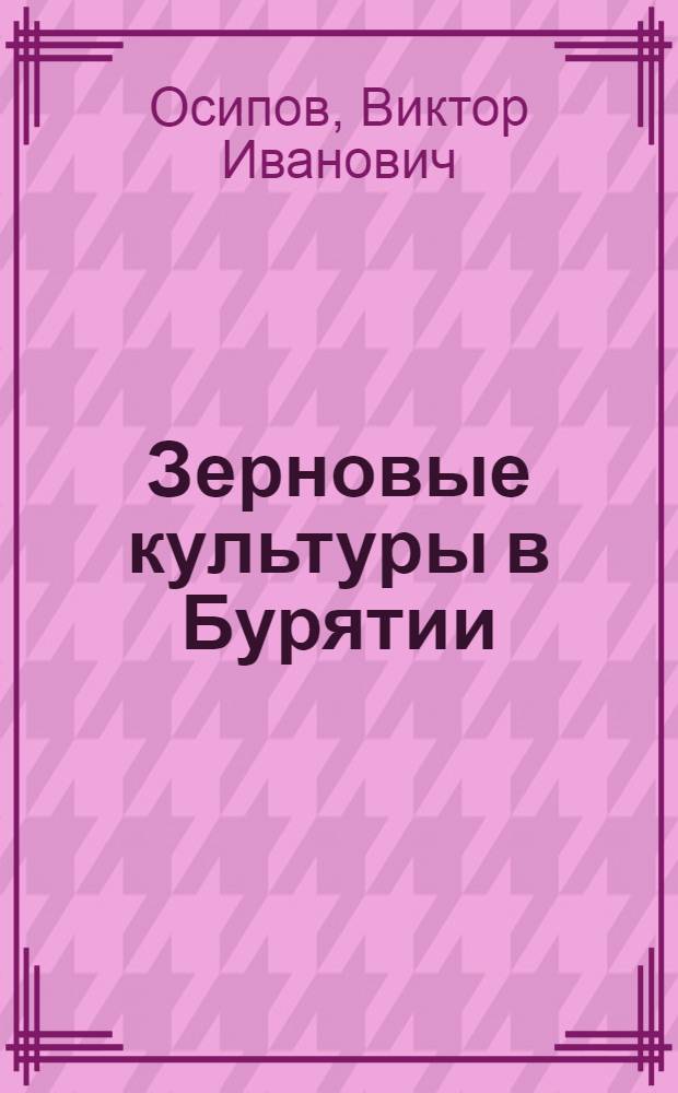 Зерновые культуры в Бурятии