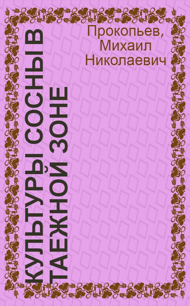 Культуры сосны в таежной зоне