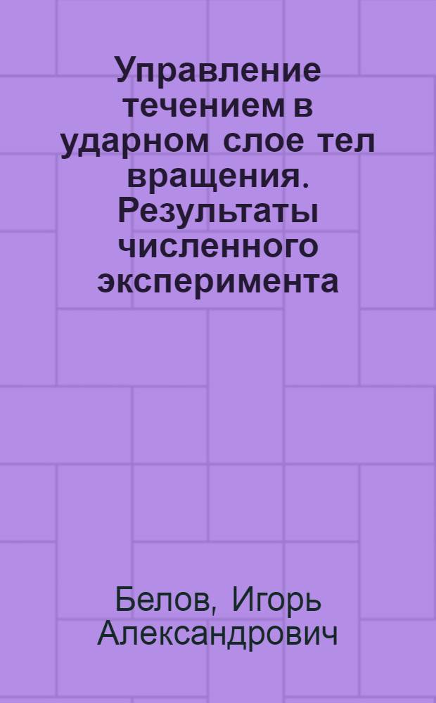 Управление течением в ударном слое тел вращения. Результаты численного эксперимента