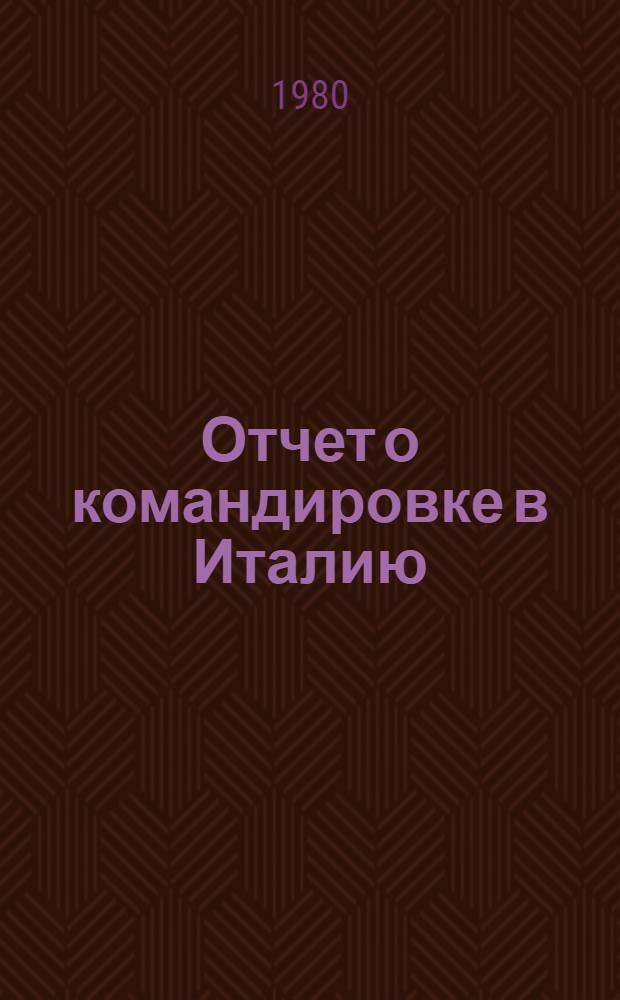 Отчет о командировке в Италию