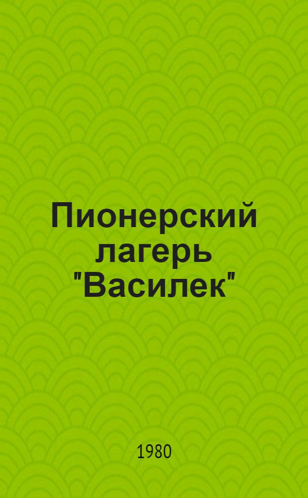 Пионерский лагерь "Василек" : Фотоочерк