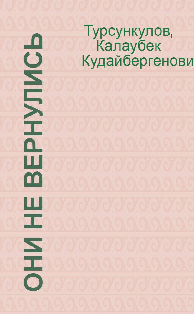 Они не вернулись : Докум. повести, рассказы-поиски
