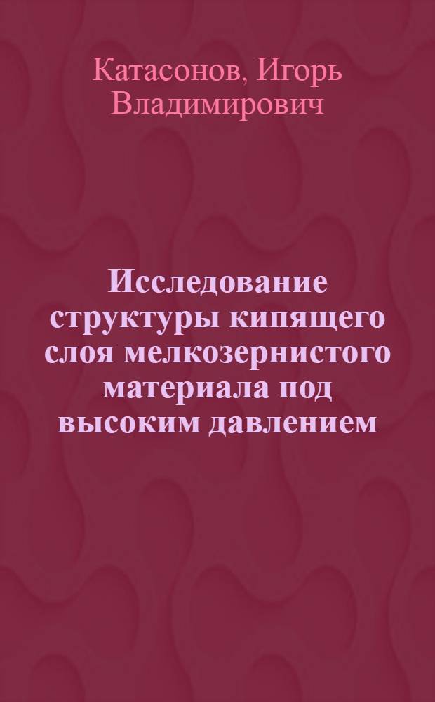 Исследование структуры кипящего слоя мелкозернистого материала под высоким давлением : Автореф. дис. на соиск. учен. степени канд. техн. наук : (05.17.08)