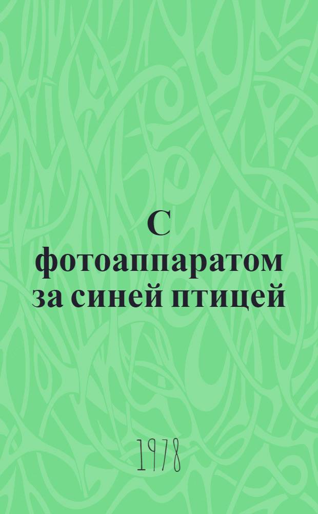 С фотоаппаратом за синей птицей