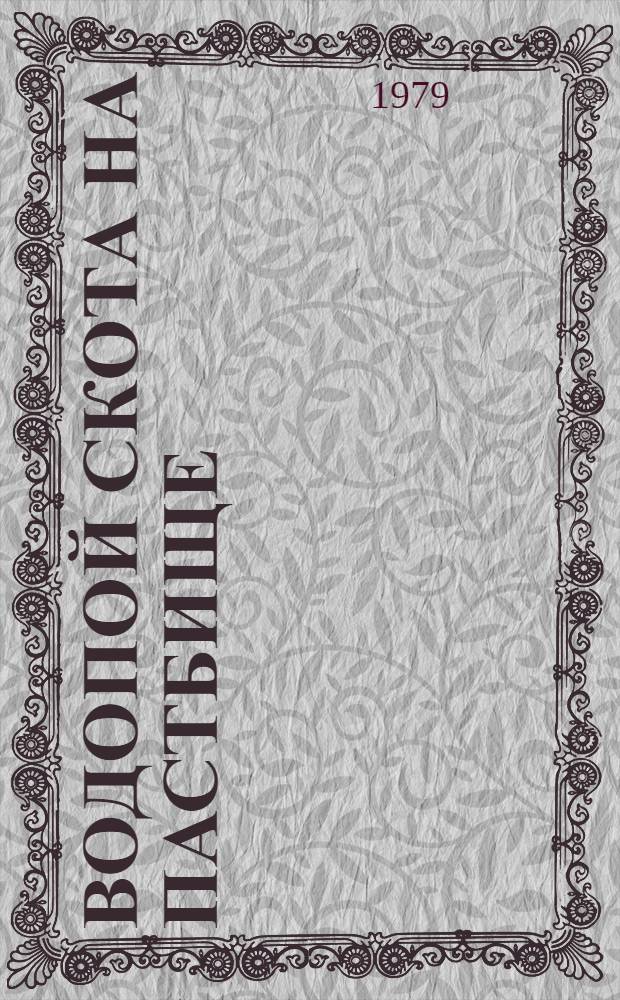 Водопой скота на пастбище