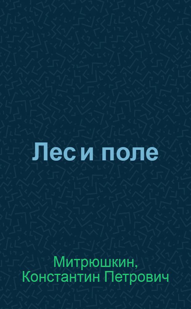 Лес и поле