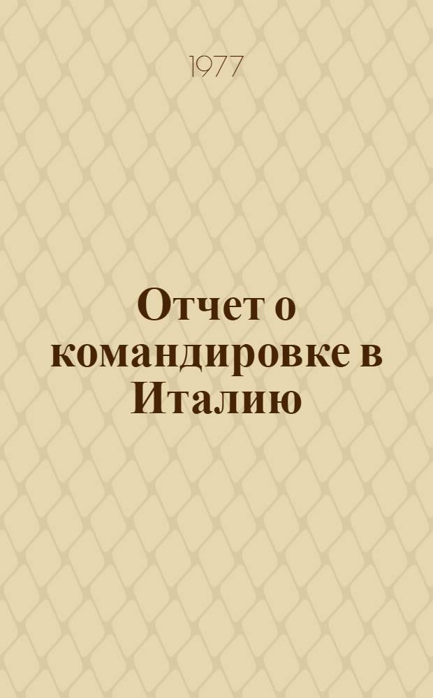 Отчет о командировке в Италию