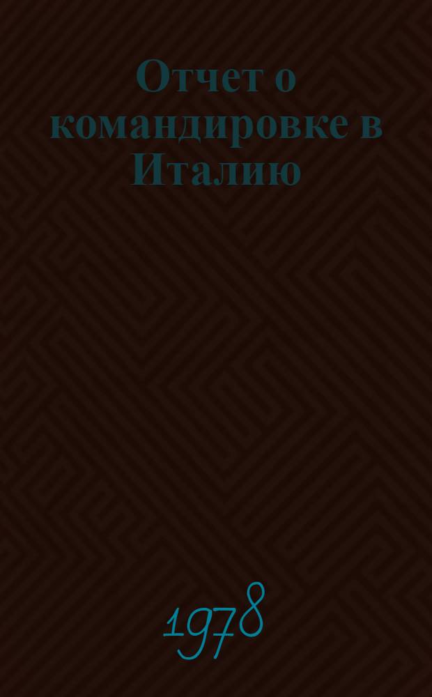 Отчет о командировке в Италию