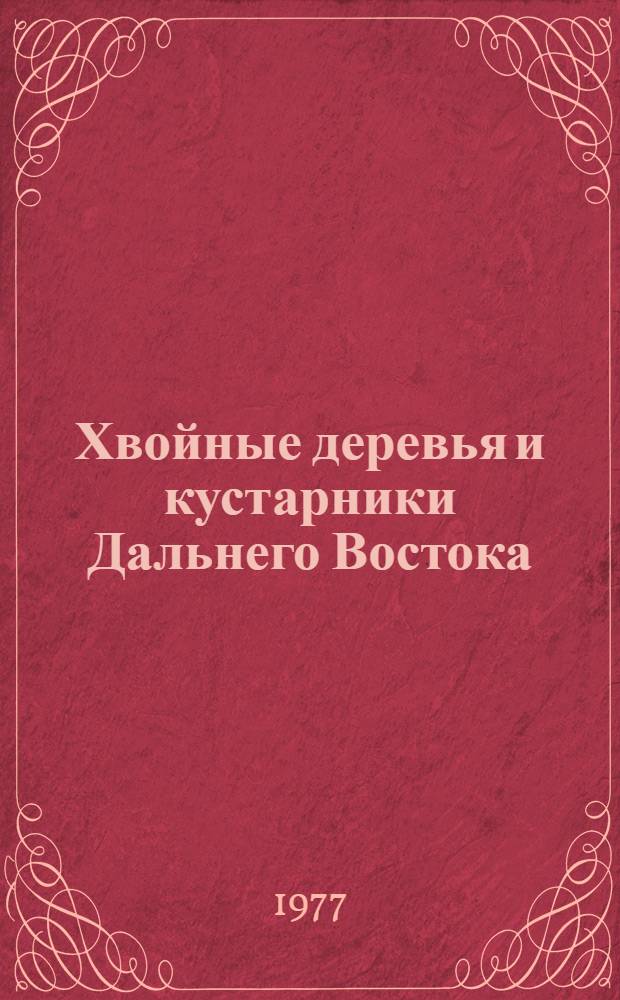 Хвойные деревья и кустарники Дальнего Востока