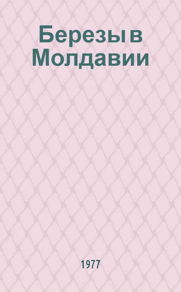 Березы в Молдавии