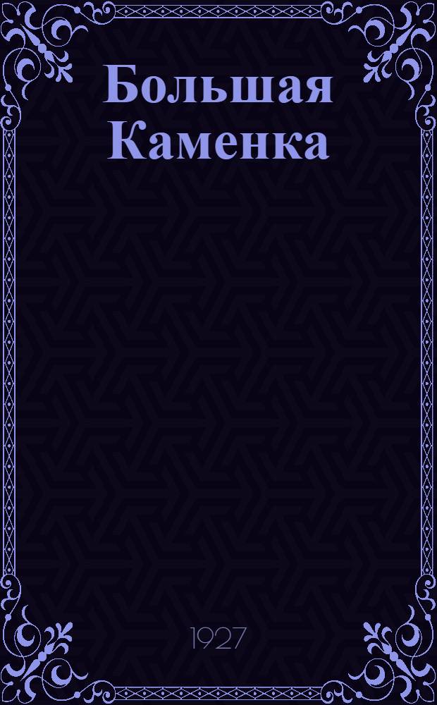 Большая Каменка : Роман