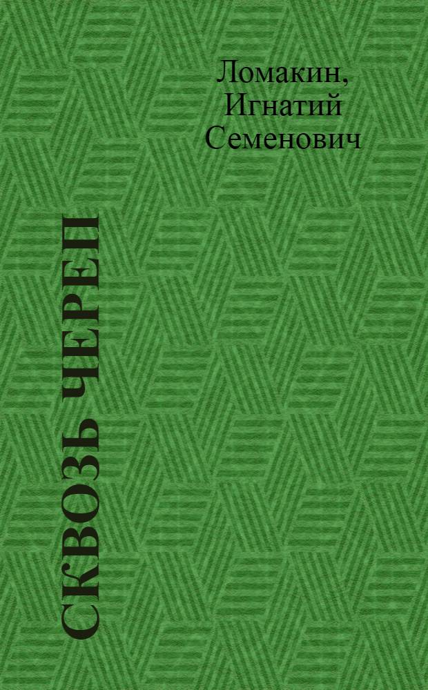 Сквозь череп : Роман