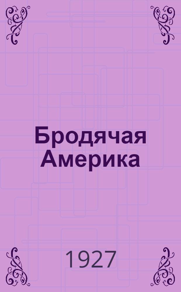Бродячая Америка : Роман