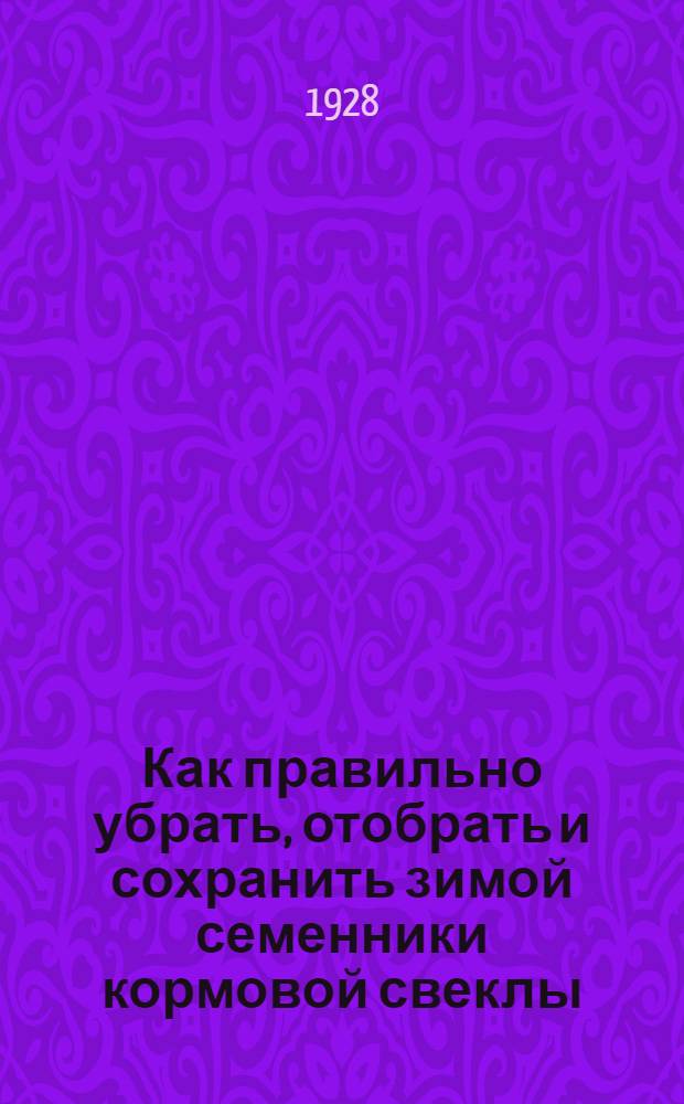 Как правильно убрать, отобрать и сохранить зимой семенники кормовой свеклы