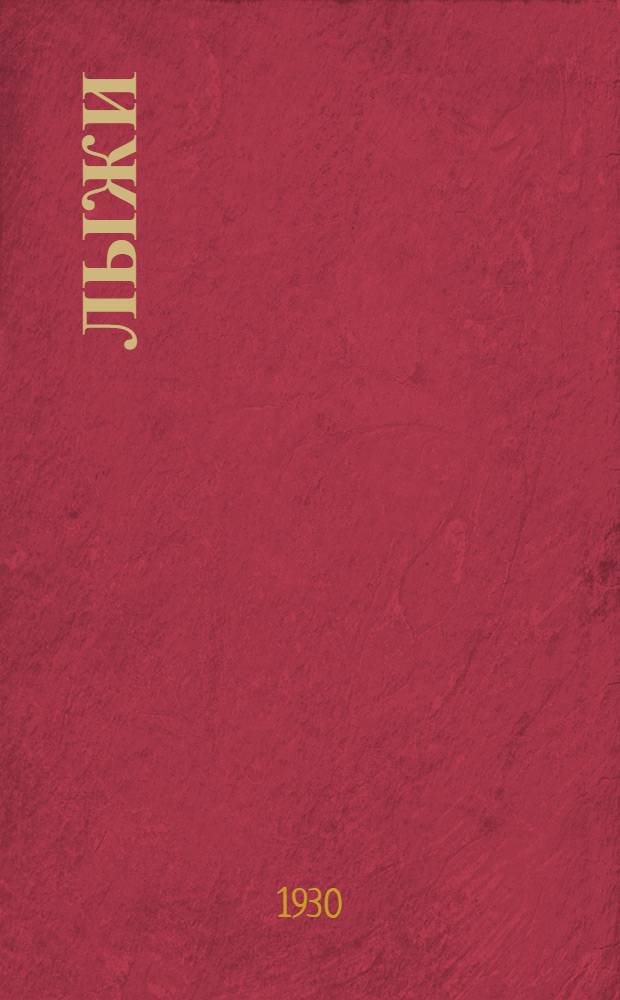 Лыжи
