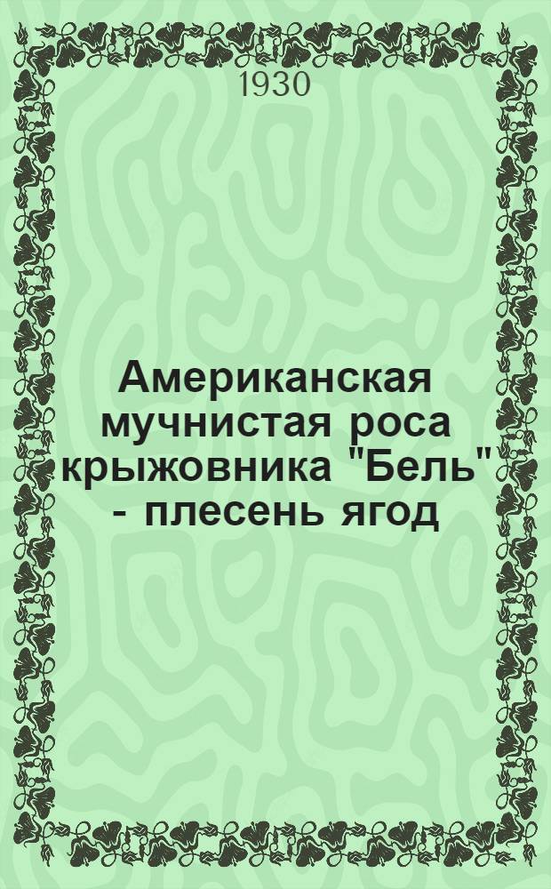 ... Американская мучнистая роса крыжовника "Бель" - плесень ягод = Sphaerotheca mors uvac (Schio.) Berk et Curt)