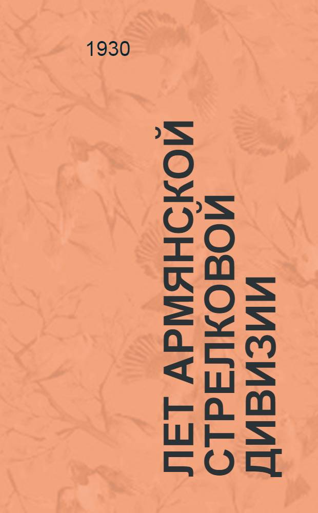 10 лет Армянской стрелковой дивизии
