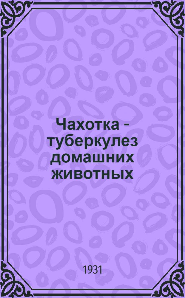 ... Чахотка - туберкулез домашних животных