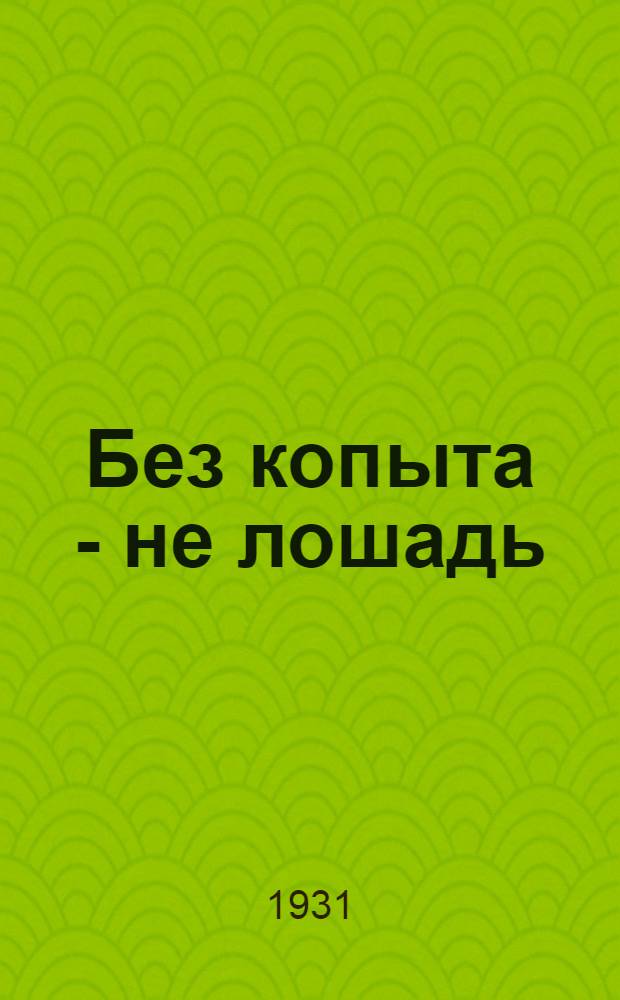 ... Без копыта - не лошадь : Ковка лошади