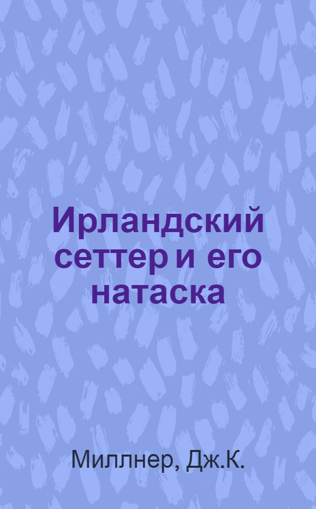 ... Ирландский сеттер и его натаска