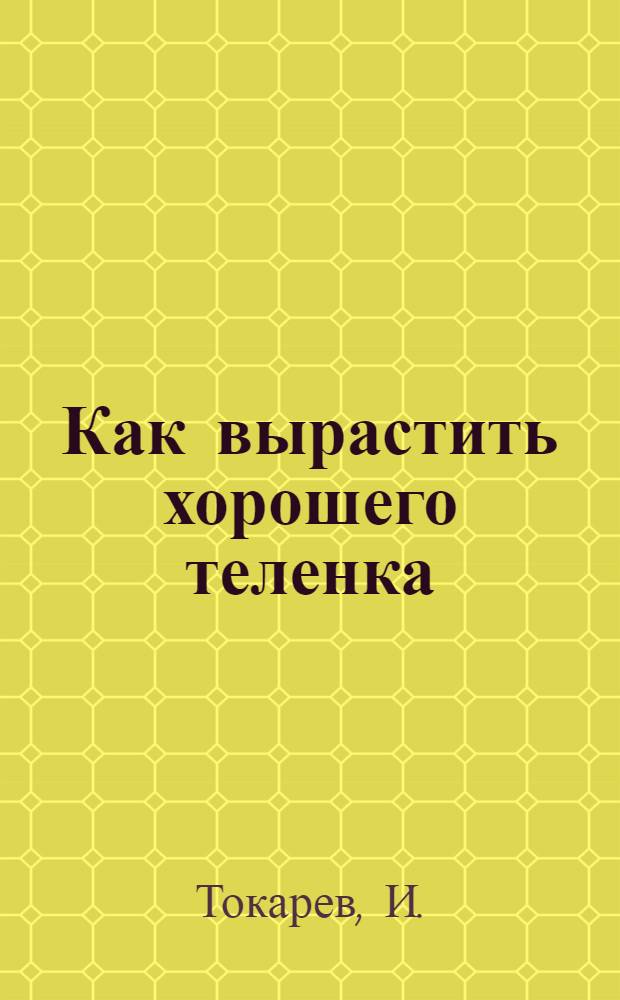 ... Как вырастить хорошего теленка