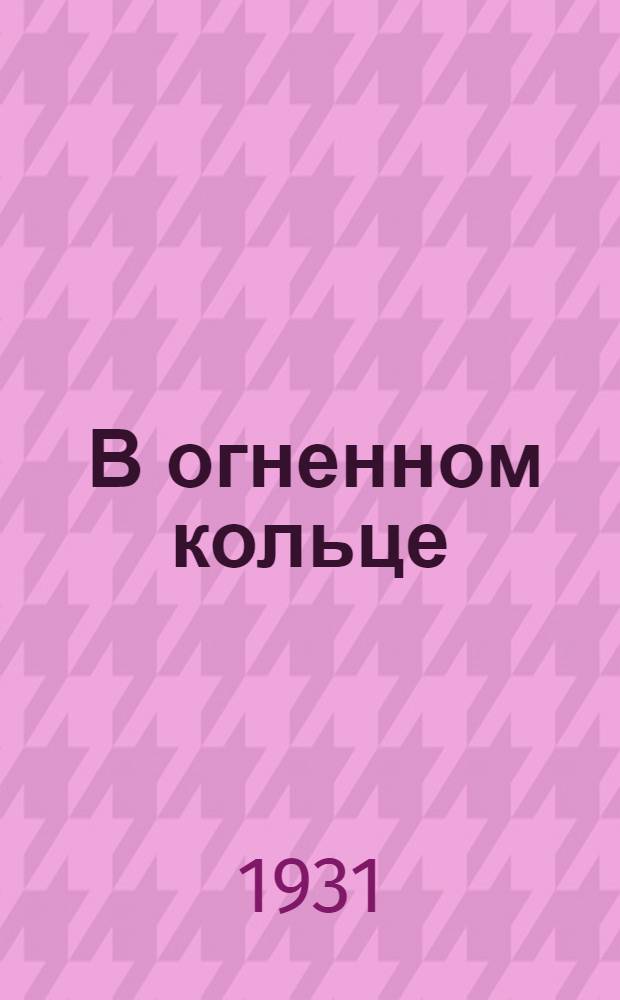 ... В огненном кольце : Записки партизана