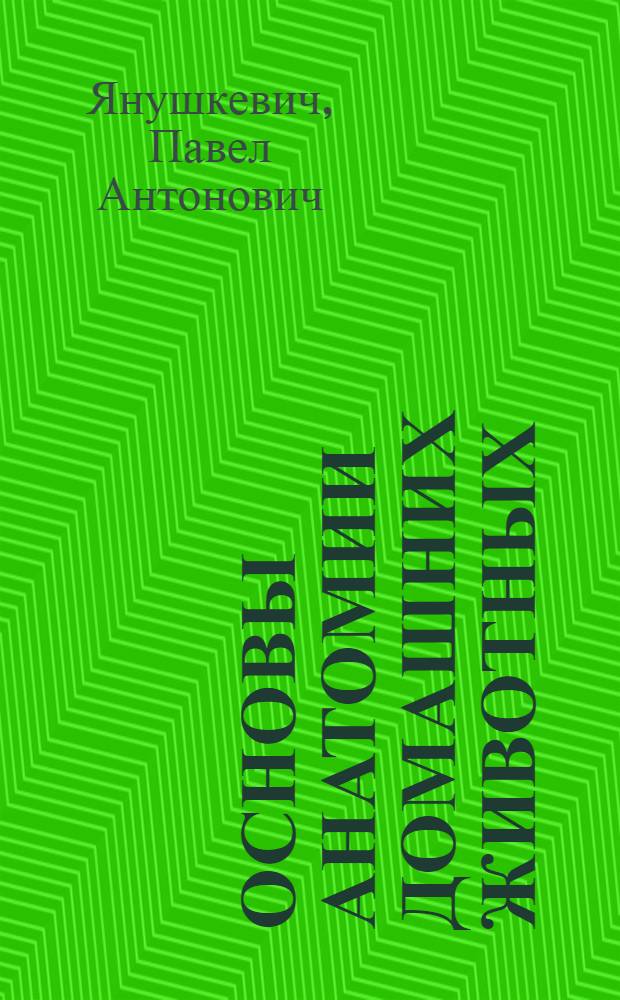 ... Основы анатомии домашних животных