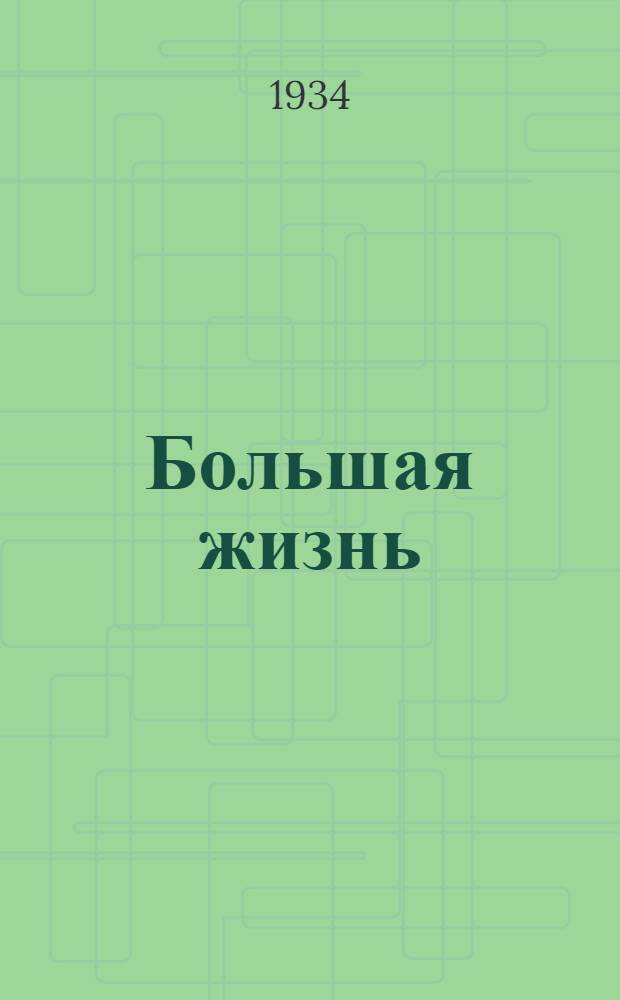 Большая жизнь : Иванов. писатели о колхозах : Очерки