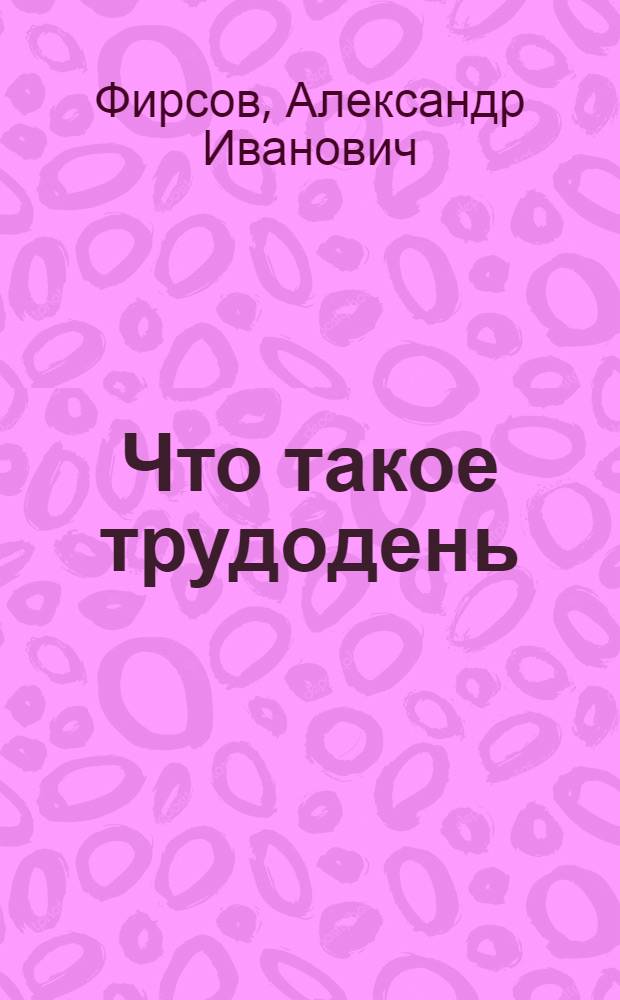 ... Что такое трудодень