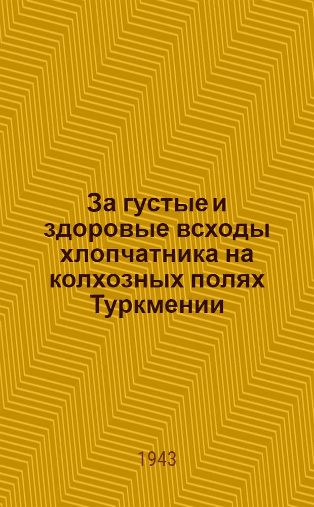 За густые и здоровые всходы хлопчатника на колхозных полях Туркмении