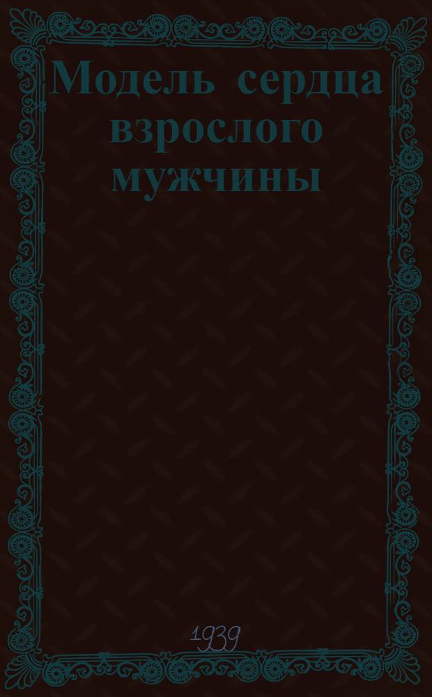 Модель сердца взрослого мужчины