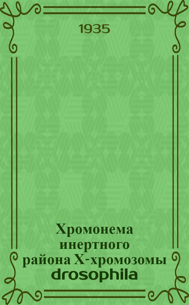 ... Хромонема инертного района Х-хромозомы drosophila