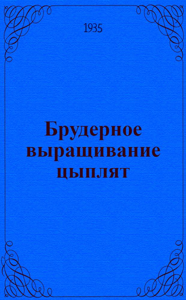 ... Брудерное выращивание цыплят