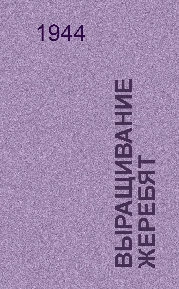 Выращивание жеребят