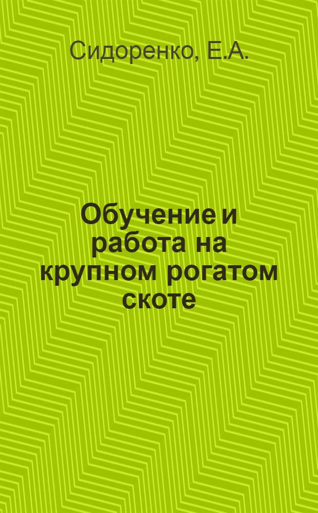 Обучение и работа на крупном рогатом скоте