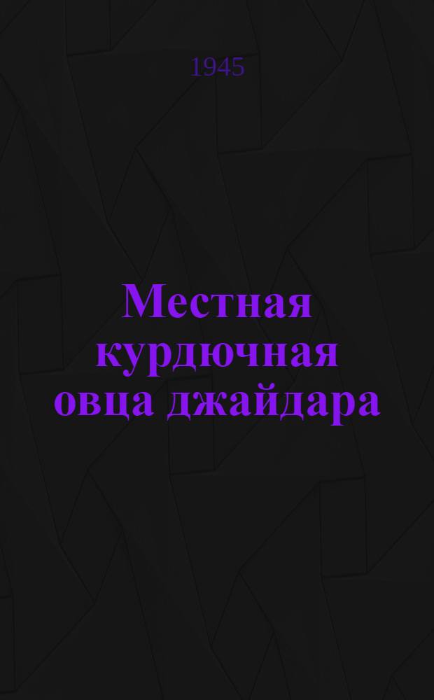 Местная курдючная овца джайдара